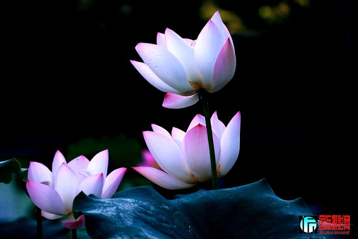 ���������� IMG_4746ww.jpg