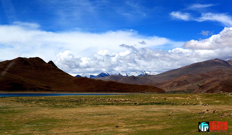 ������ 705_����.jpg