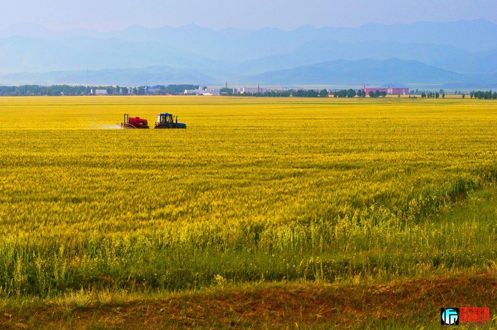 ���� _DSC0026.JPG