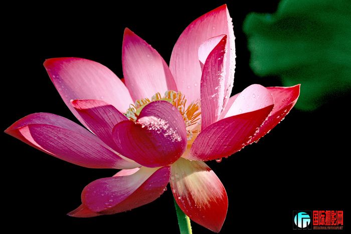 ��  ��  IMG_4735  0804.jpg