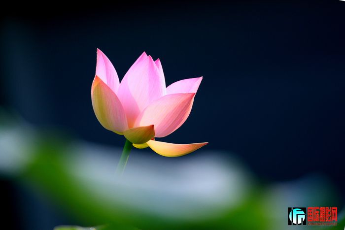 �ɻ��ɾ�  IMG_4827����.jpg