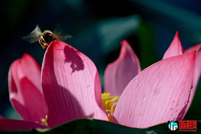 ��֮��  ����-2.jpg