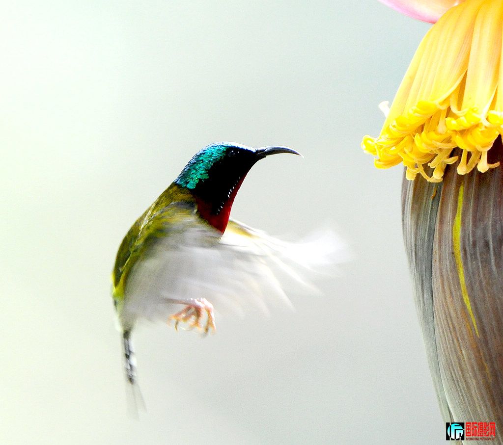 5DSC_0107   4444.jpg