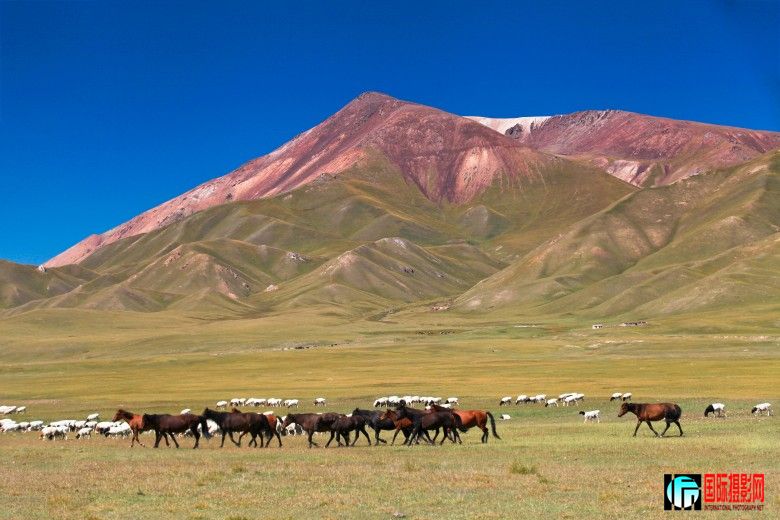 ������³��