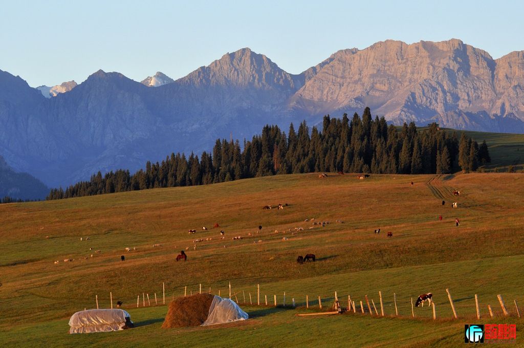 ���� _DSC0029.JPG