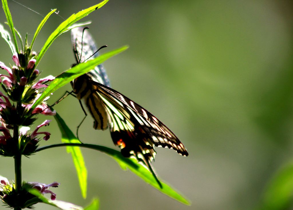 ��̬���� 3.jpg