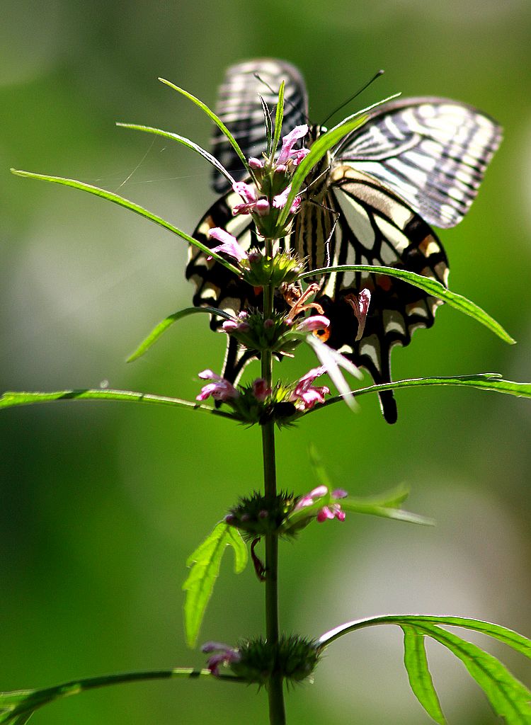 ��̬���� 9.jpg