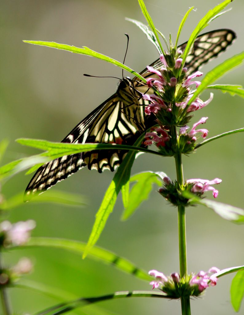 ��̬���� 1.jpg