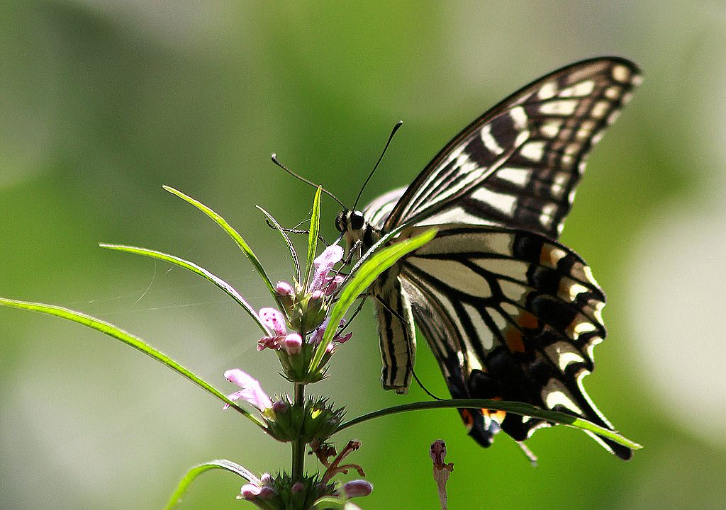 ��̬���� 10.jpg