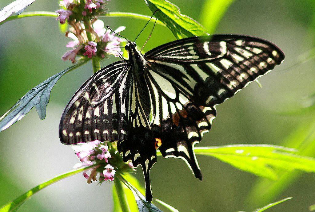 ��̬���� 11.jpg