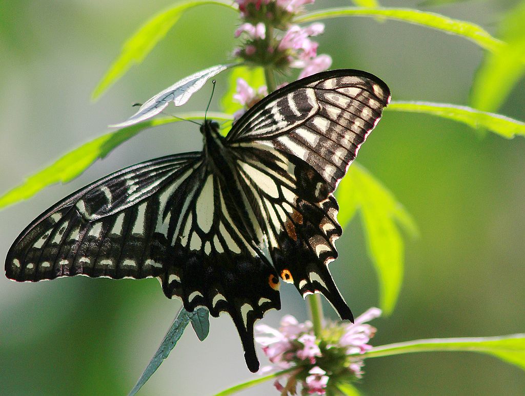 ��̬���� 14.jpg