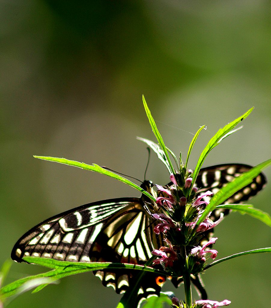 ��̬���� 2.jpg