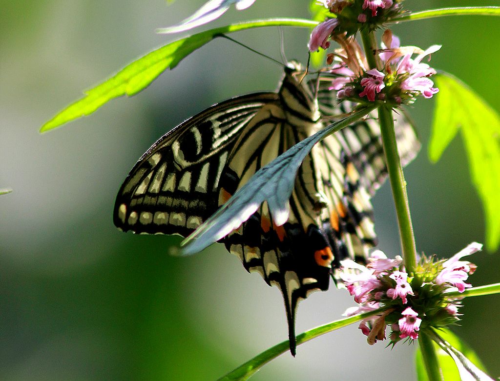 ��̬���� 16.jpg