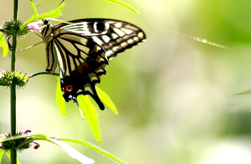 ��̬���� 5.jpg