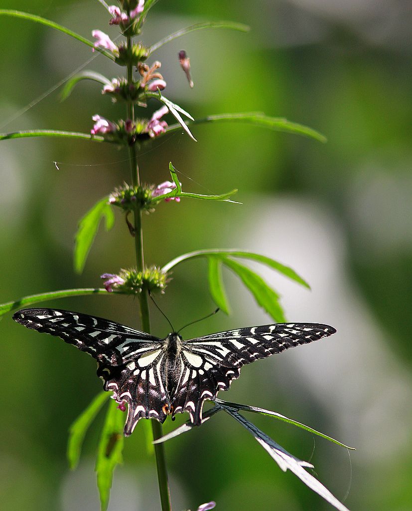 ��̬���� 25.jpg