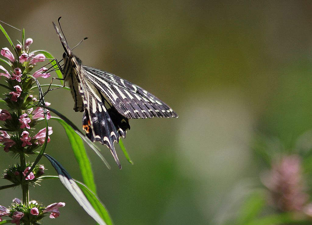 ��̬���� 33.jpg