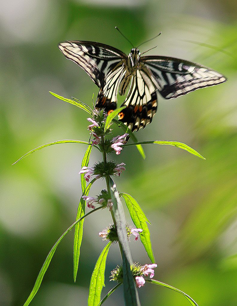 ��̬���� 29.jpg