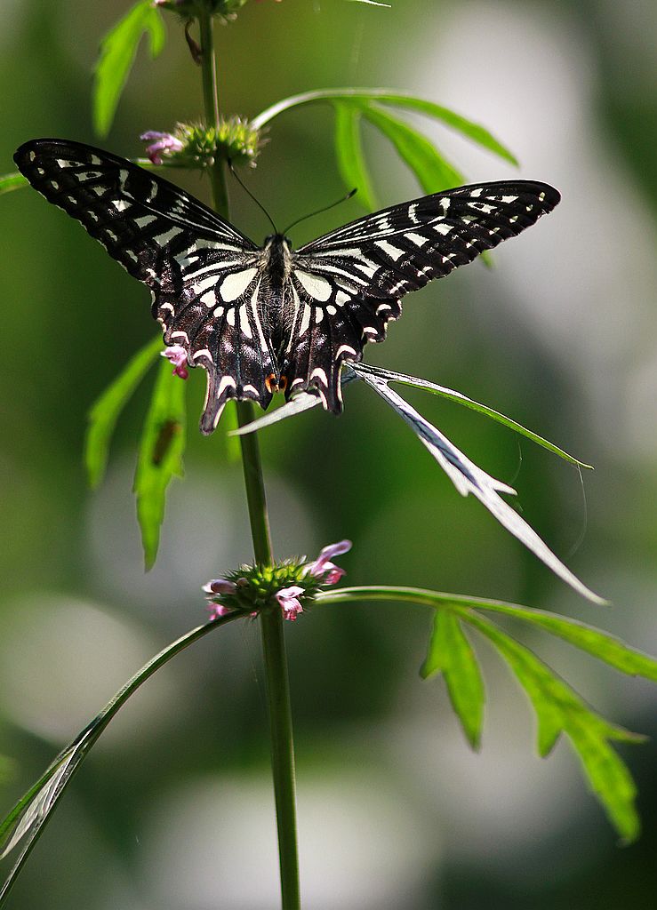 ��̬���� 26.jpg