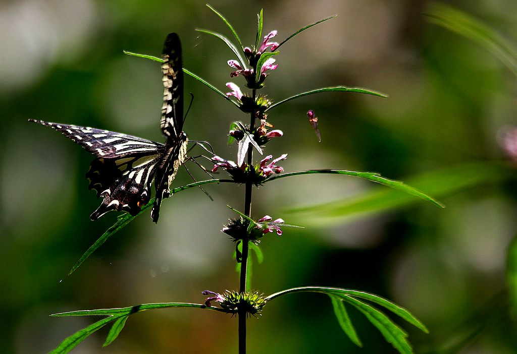 ��̬���� 36.jpg