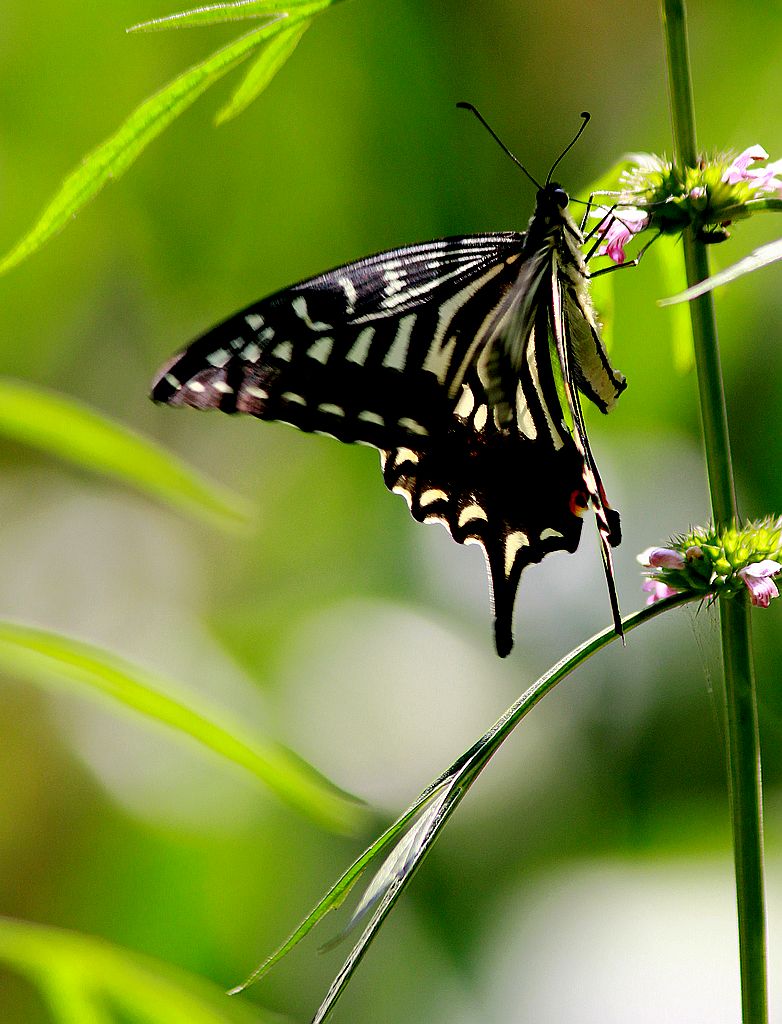 ��̬���� 23.jpg