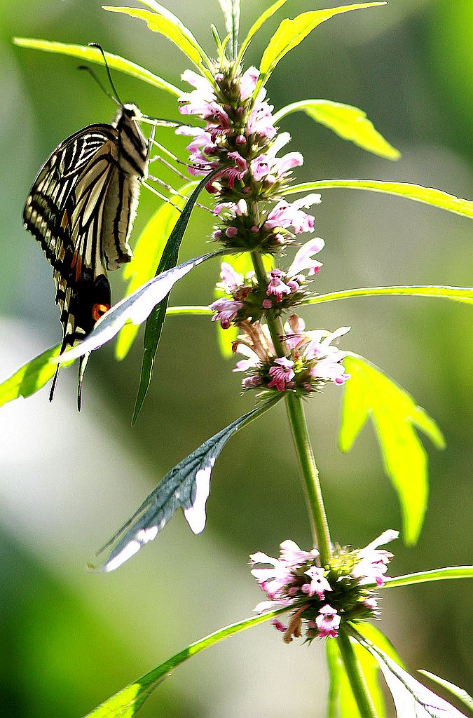 ��̬���� 21.jpg