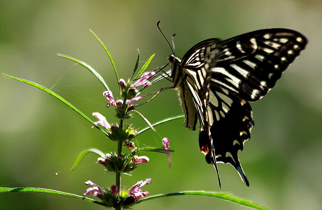 ��̬���� 28.jpg