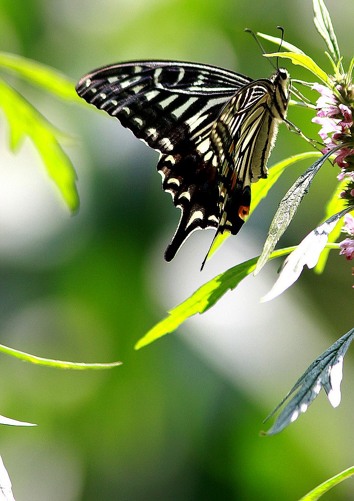 ��̬���� 22.jpg