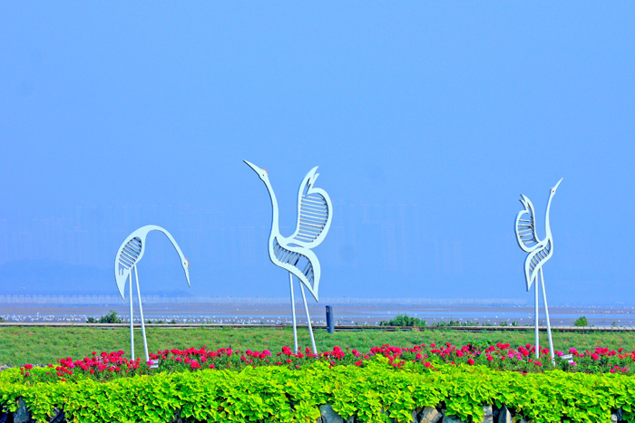 ����Ȥ�~ IMG_4991����.jpg