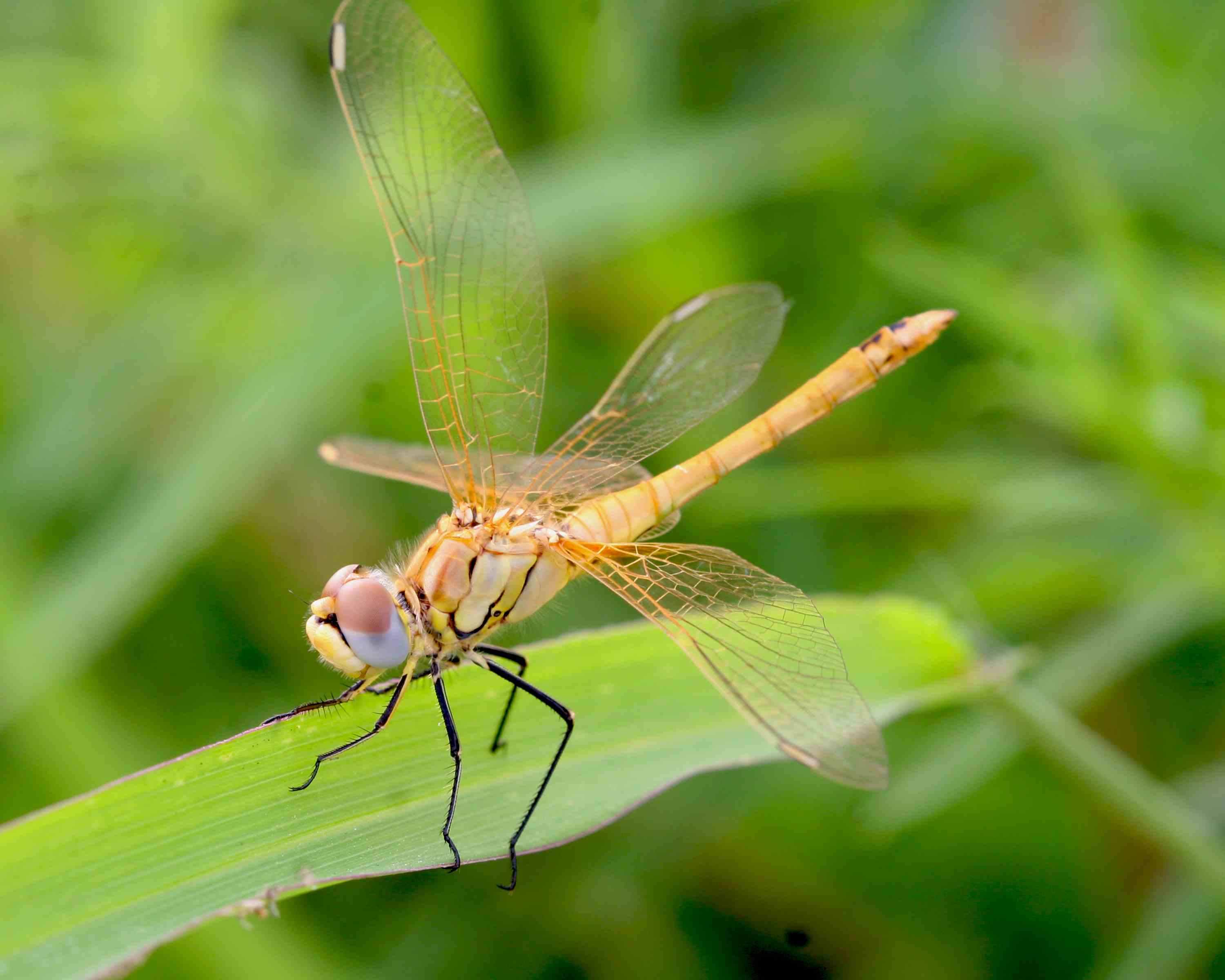 �����ֹ��� (2).JPG