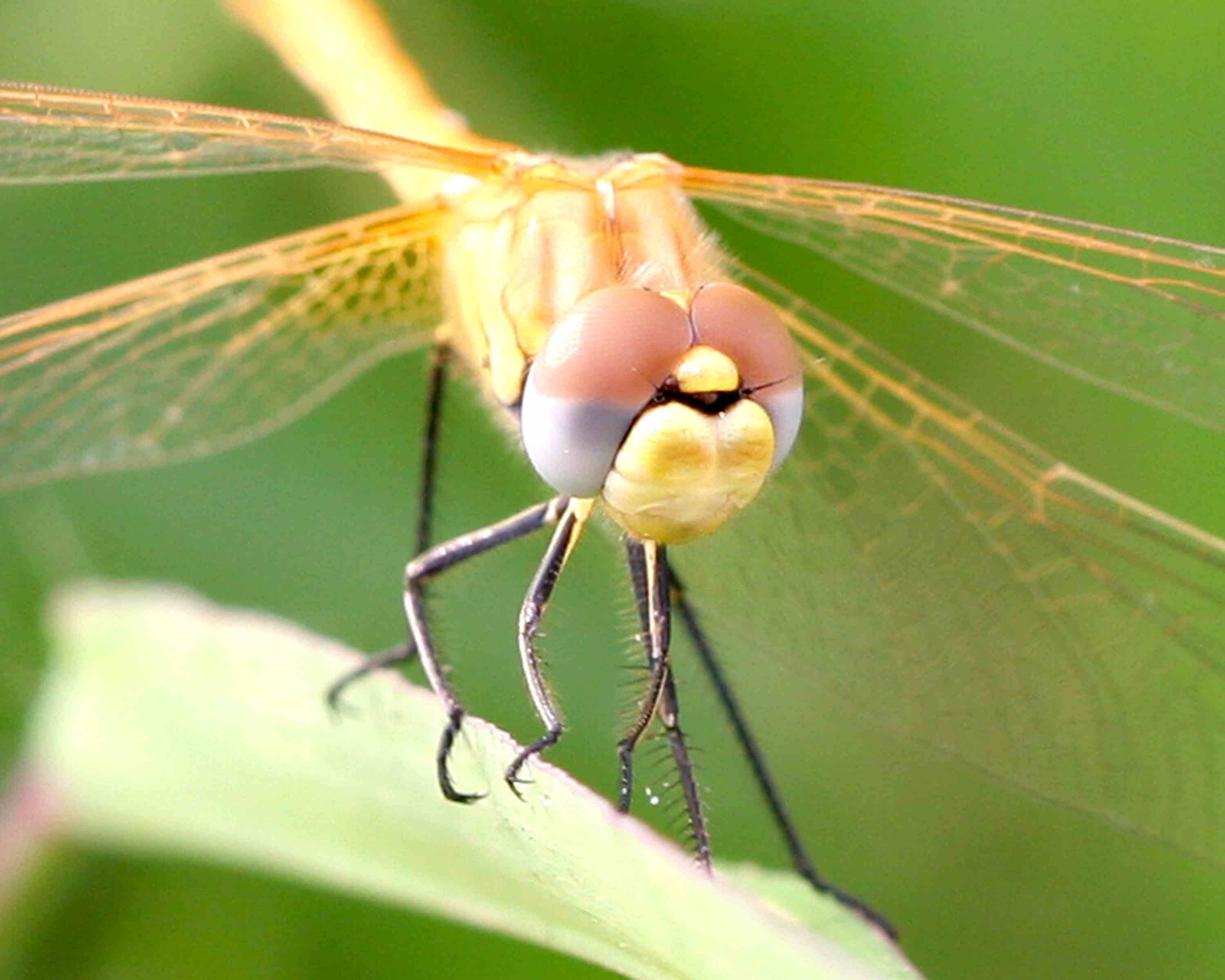 �����ֹ��� (5).JPG