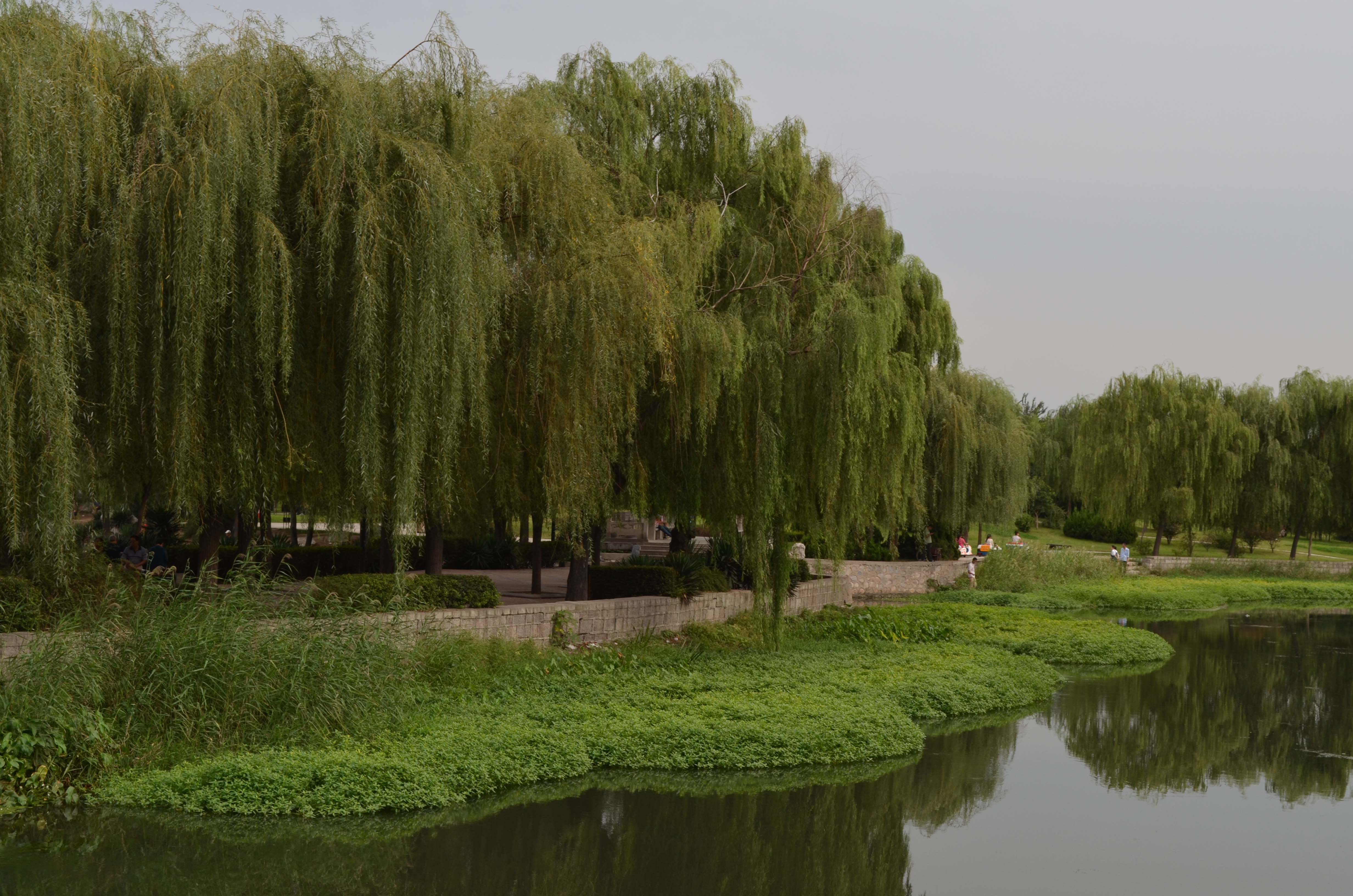 ��Ƭ 003 ����.jpg