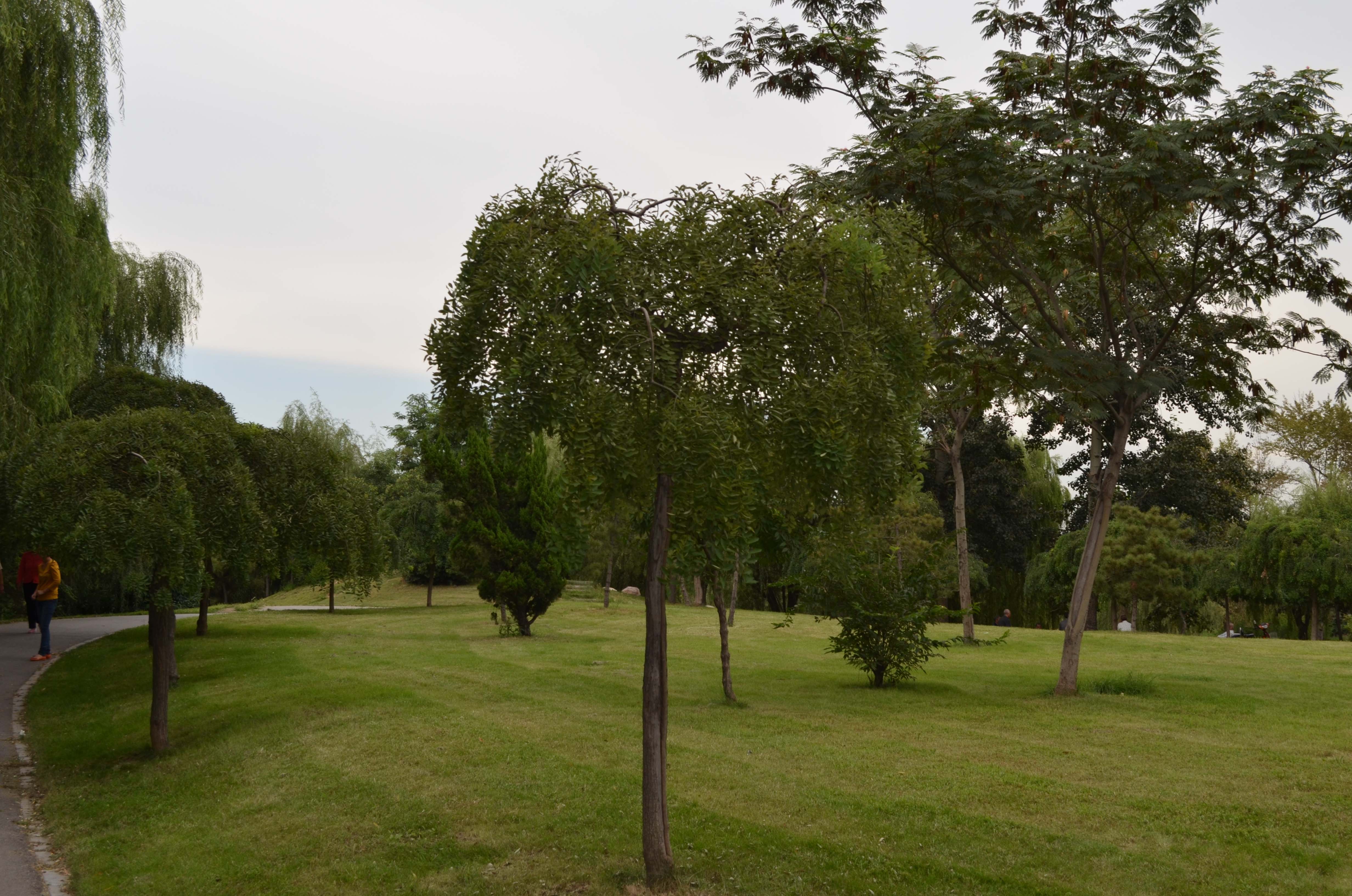 �¶����غ�