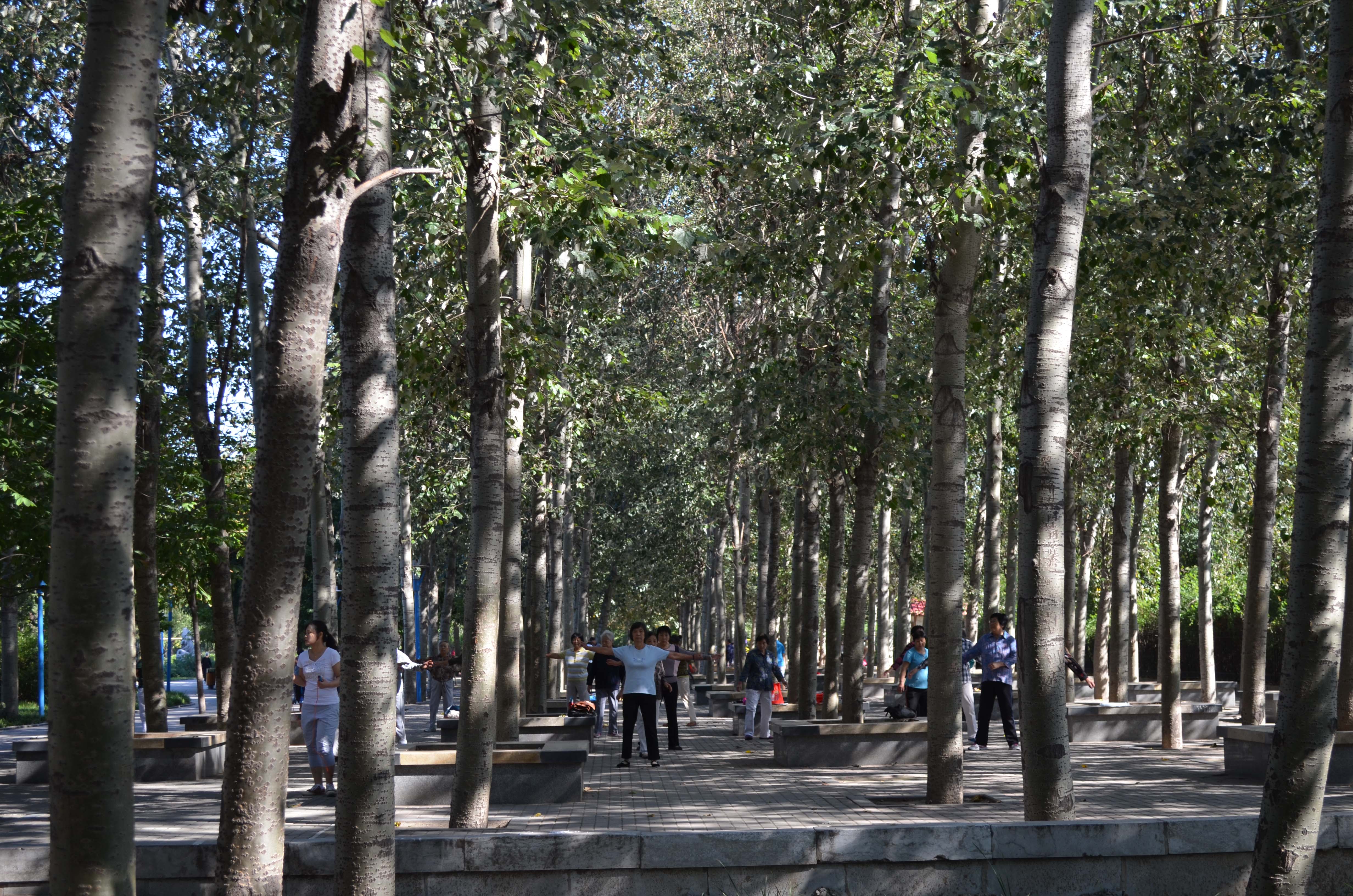 DSC_0016 ����.jpg