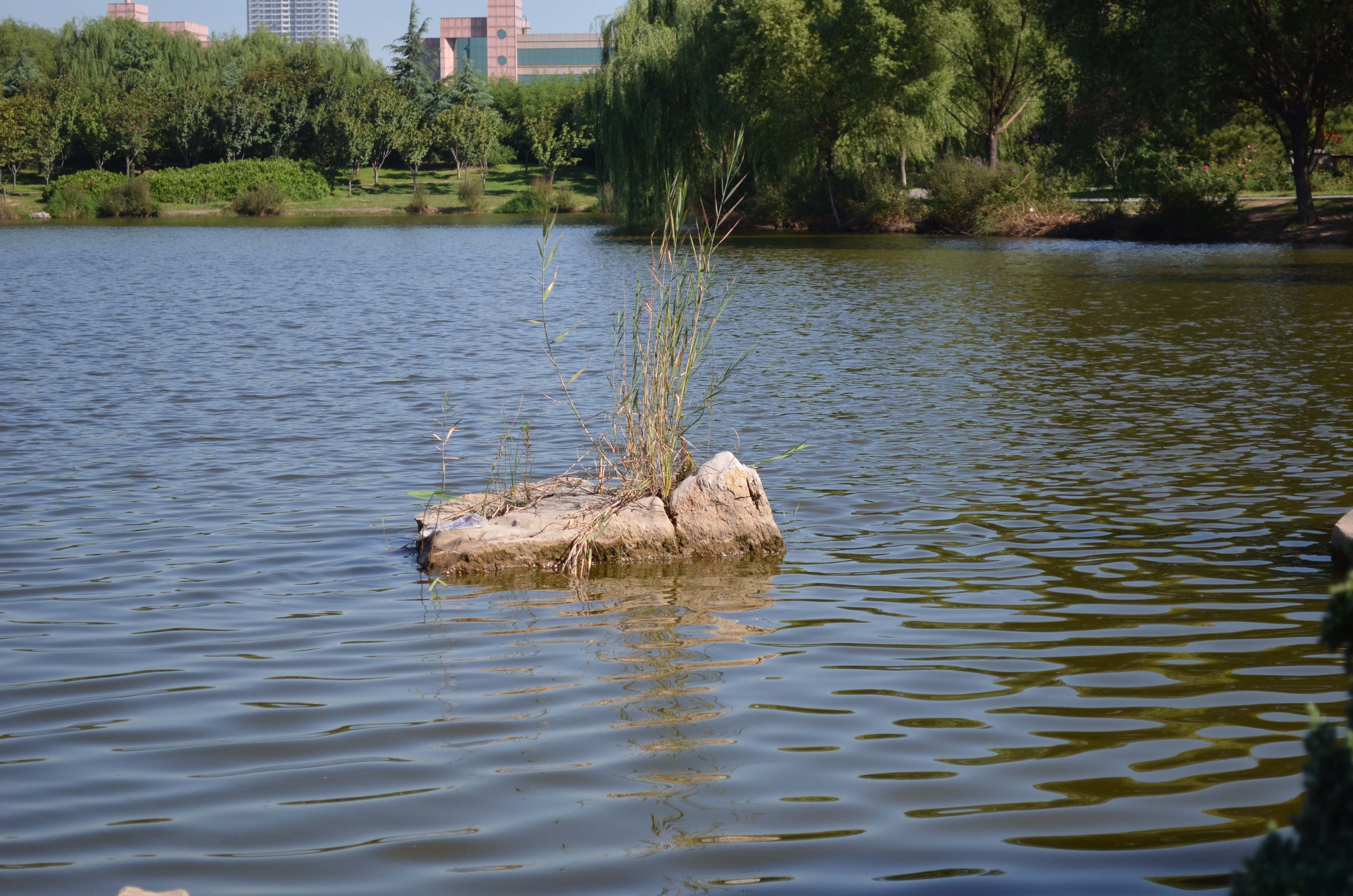 DSC_0017 ����.jpg