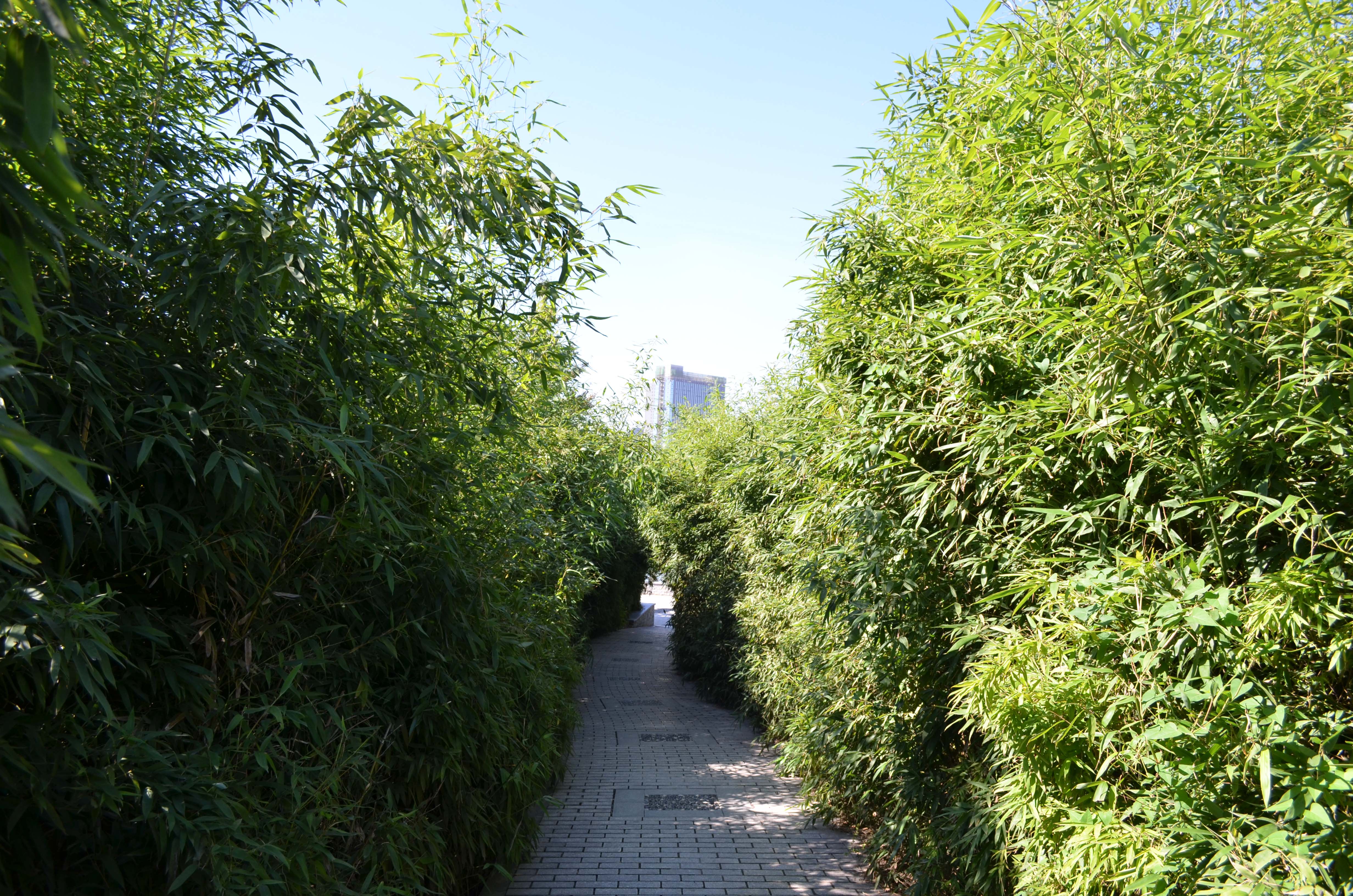 DSC_0029 ����.jpg