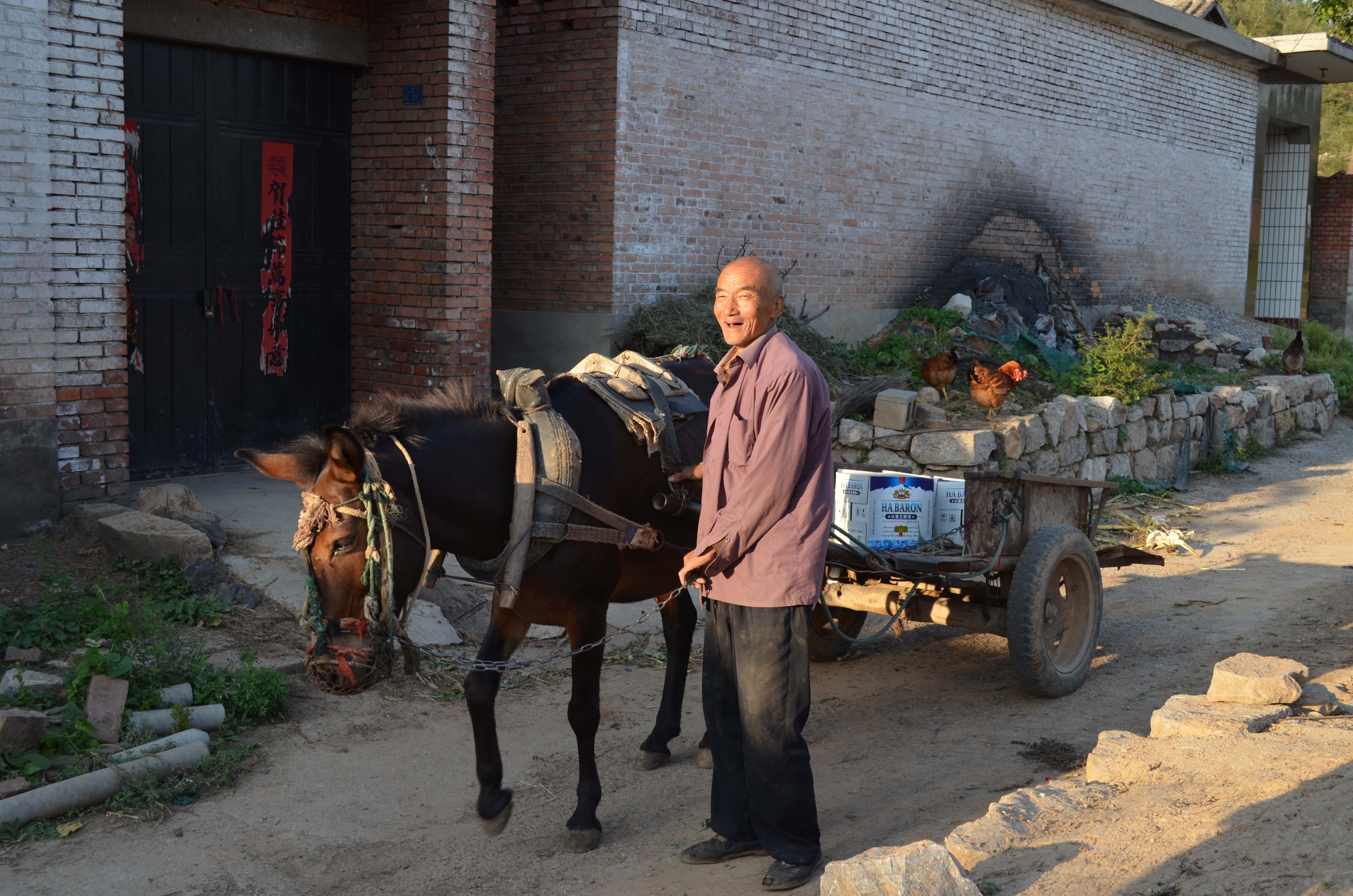 DSC_0079 ����.jpg