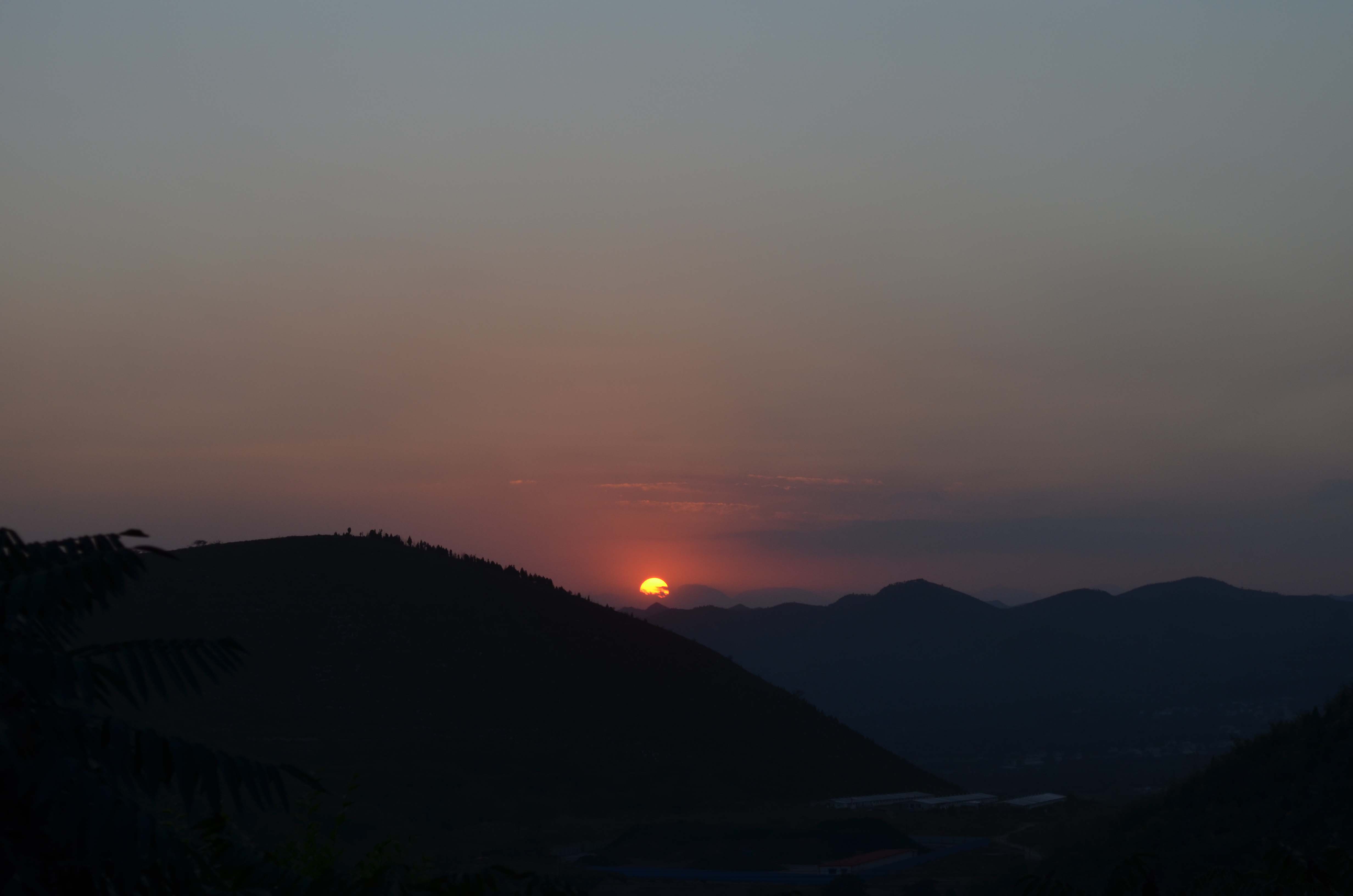 DSC_0092 ����.jpg