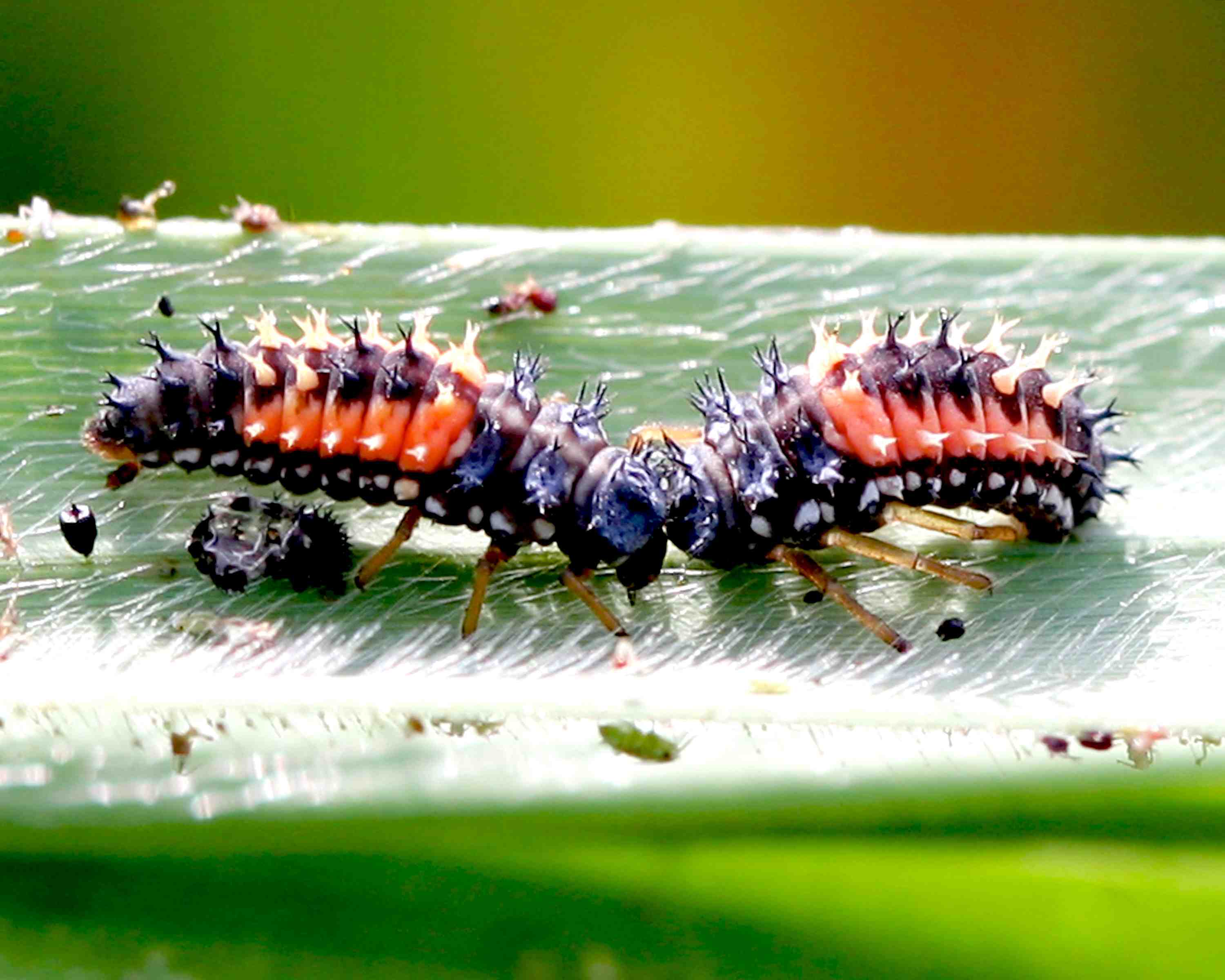 2.������׳� (3).JPG