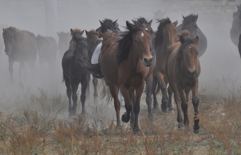 ���� _DSC0302.JPG