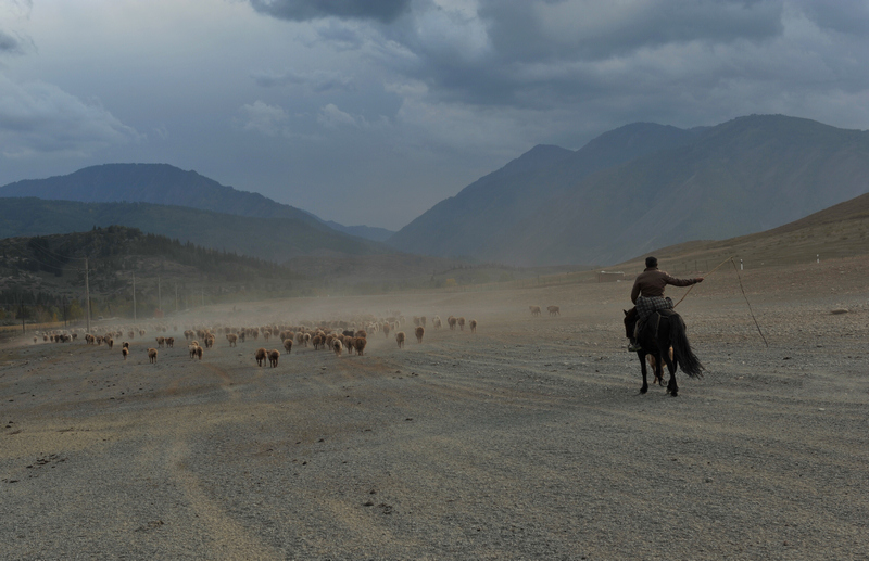 ���� DSC_5483.JPG