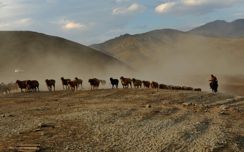 ���� DSC_5479.JPG