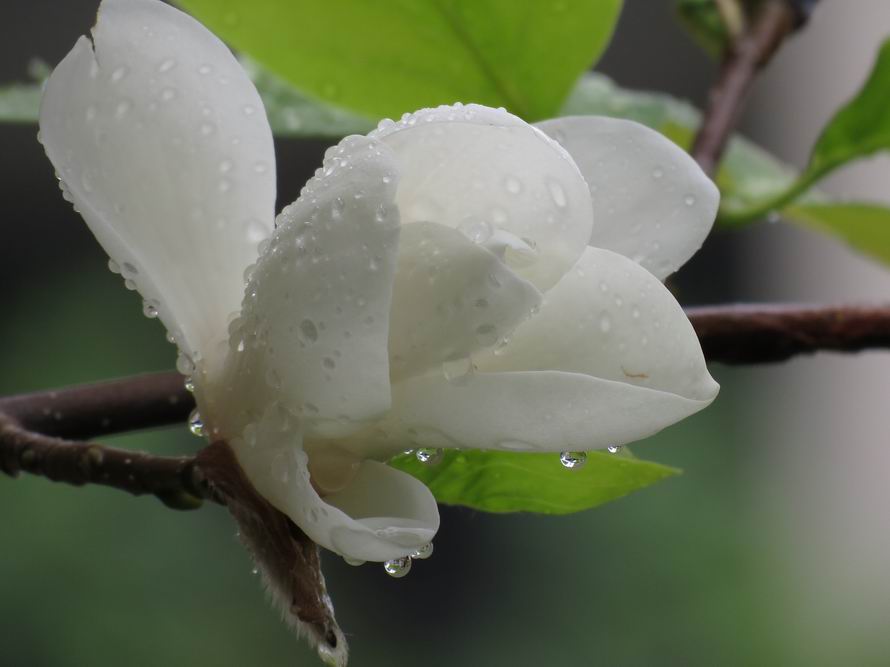 ������ (2).jpg