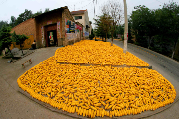 �����ջ� (3).JPG