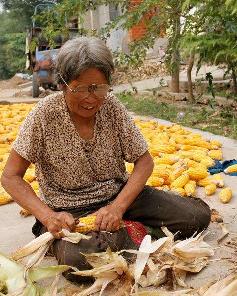 �����ջ� (27).JPG