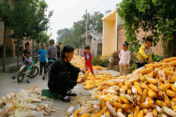 �����ջ� (1).JPG