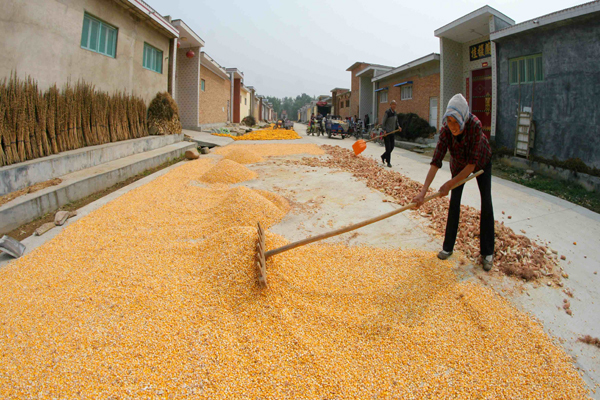 �����ջ� (23).JPG