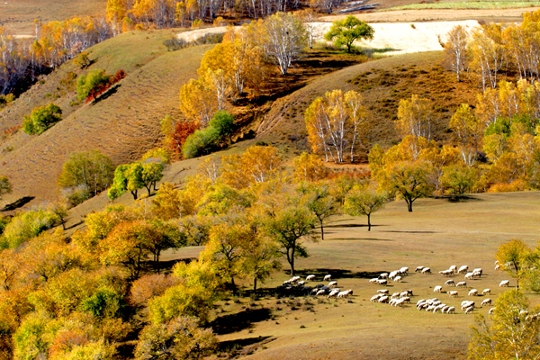 ���ɹŰ��Ϲ��� (28).JPG