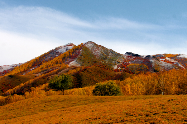 ���ɹŰ��Ϲ��� (4).JPG