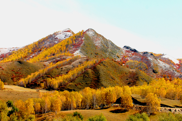 ���ɹŰ��Ϲ��� (26).JPG