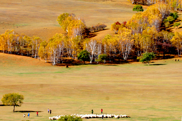 ���ɹŰ��Ϲ��� (9).JPG